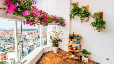 Vị trí đặt cây cảnh trong nhà