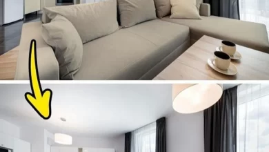 mẹo nhỏ trong thiết kế