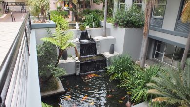tiểu cảnh sân vườn đẹp